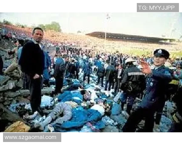 史上最大惨案背后的足球明星与悲剧真相揭秘